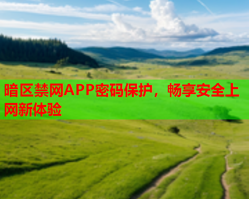 暗区禁网APP密码保护,畅享安全上网新体验 暗区禁网APP密码保护,畅享安全上网新体验