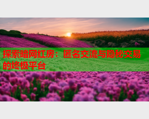 探索暗网红房:匿名交流与隐秘交易的终极平台 探索暗网红房:匿名交流与隐秘交易的终极平台