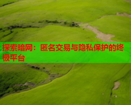 探索暗网:匿名交易与隐私保护的终极平台 探索暗网:匿名交易与隐私保护的终极平台