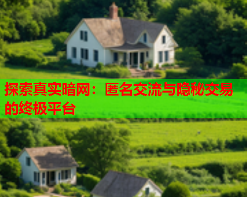 探索真实暗网:匿名交流与隐秘交易的终极平台 探索真实暗网:匿名交流与隐秘交易的终极平台