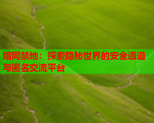 暗网禁地:探索隐秘世界的安全通道与匿名交流平台 暗网禁地:探索隐秘世界的安全通道与匿名交流平台