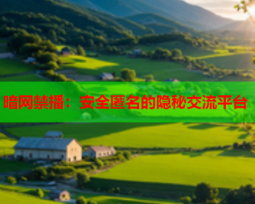 暗网禁播:安全匿名的隐秘交流平台 暗网禁播:安全匿名的隐秘交流平台