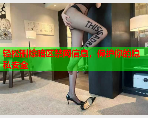 轻松删除暗区禁网信息,保护你的隐私安全 轻松删除暗区禁网信息,保护你的隐私安全