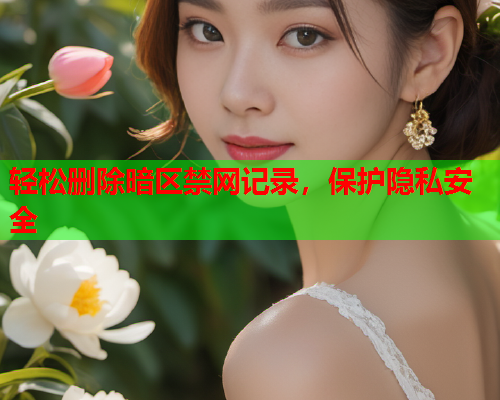 轻松删除暗区禁网记录,保护隐私安全 轻松删除暗区禁网记录,保护隐私安全