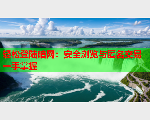 轻松登陆暗网:安全浏览与匿名交易一手掌握 轻松登陆暗网:安全浏览与匿名交易一手掌握