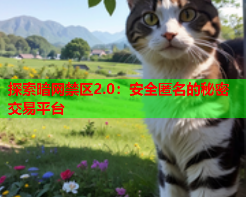 探索暗网禁区2.0:安全匿名的秘密交易平台 探索暗网禁区2.0:安全匿名的秘密交易平台