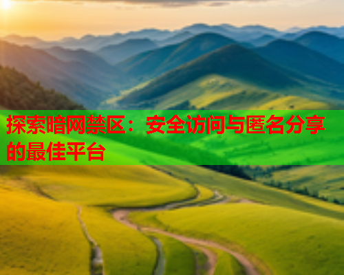 探索暗网禁区:安全访问与匿名分享的最佳平台 探索暗网禁区:安全访问与匿名分享的最佳平台
