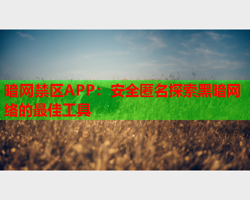 暗网禁区APP:安全匿名探索黑暗网络的最佳工具 暗网禁区APP:安全匿名探索黑暗网络的最佳工具