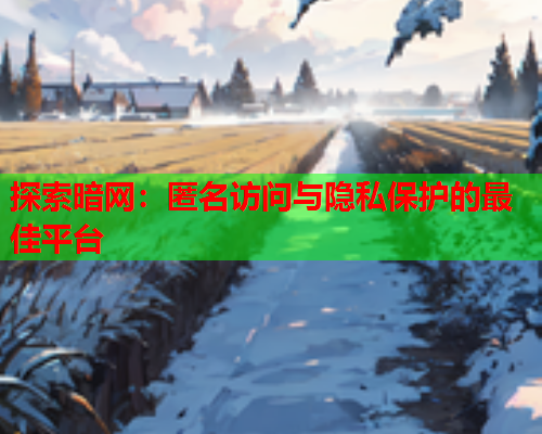 探索暗网:匿名访问与隐私保护的最佳平台 探索暗网:匿名访问与隐私保护的最佳平台