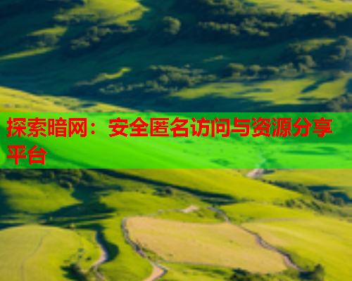 探索暗网:安全匿名访问与资源分享平台 探索暗网:安全匿名访问与资源分享平台