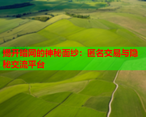 揭开暗网的神秘面纱:匿名交易与隐秘交流平台 揭开暗网的神秘面纱:匿名交易与隐秘交流平台