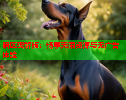 暗区破解版:畅享无限资源与无广告体验 暗区破解版:畅享无限资源与无广告体验