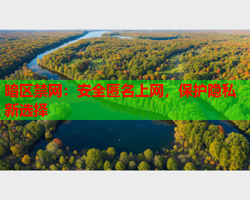 暗区禁网:安全匿名上网,保护隐私新选择 暗区禁网:安全匿名上网,保护隐私新选择