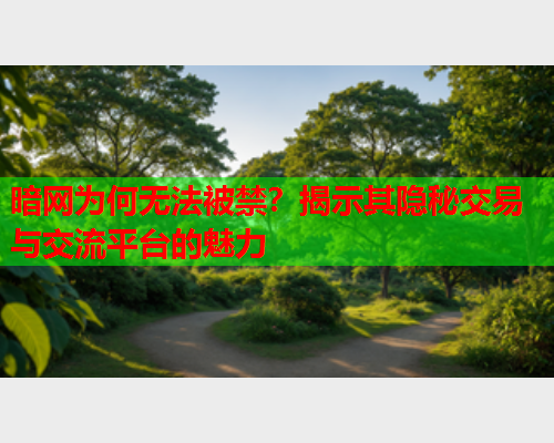 暗网为何无法被禁?揭示其隐秘交易与交流平台的魅力 暗网为何无法被禁?揭示其隐秘交易与交流平台的魅力
