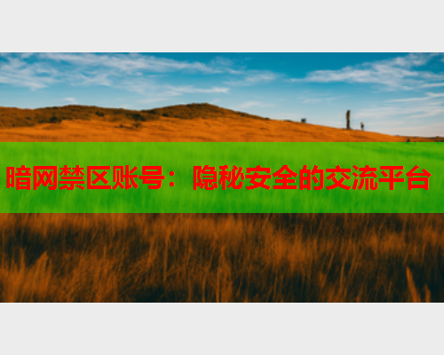 暗网禁区账号:隐秘安全的交流平台 暗网禁区账号:隐秘安全的交流平台