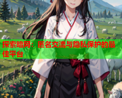 探索暗网:匿名交流与隐私保护的最佳平台 探索暗网:匿名交流与隐私保护的最佳平台