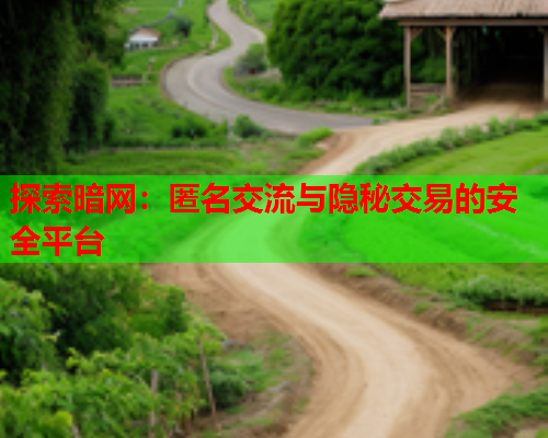 探索暗网:匿名交流与隐秘交易的安全平台 探索暗网:匿名交流与隐秘交易的安全平台