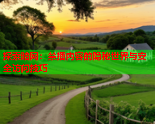 探索暗网:禁播内容的隐秘世界与安全访问技巧 探索暗网:禁播内容的隐秘世界与安全访问技巧