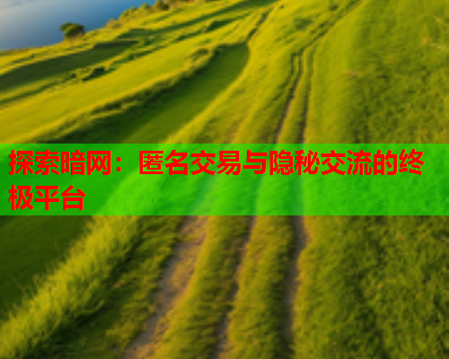 探索暗网:匿名交易与隐秘交流的终极平台 探索暗网:匿名交易与隐秘交流的终极平台