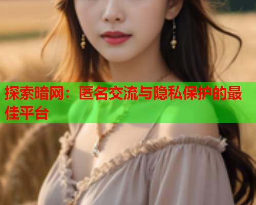 探索暗网:匿名交流与隐私保护的最佳平台 探索暗网:匿名交流与隐私保护的最佳平台