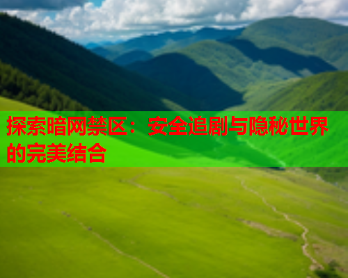 探索暗网禁区:安全追剧与隐秘世界的完美结合 探索暗网禁区:安全追剧与隐秘世界的完美结合