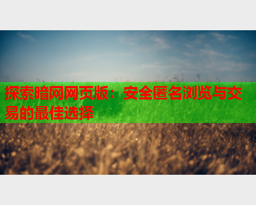 探索暗网网页版:安全匿名浏览与交易的最佳选择 探索暗网网页版:安全匿名浏览与交易的最佳选择