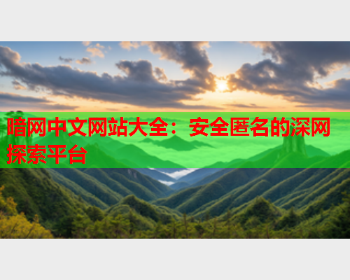 暗网中文网站大全:安全匿名的深网探索平台 暗网中文网站大全:安全匿名的深网探索平台