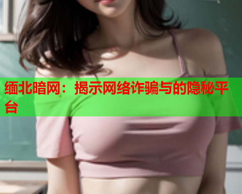 缅北暗网:揭示网络诈骗与的隐秘平台 缅北暗网:揭示网络诈骗与的隐秘平台