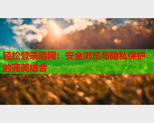 轻松登录暗网:安全浏览与隐私保护的完美结合 轻松登录暗网:安全浏览与隐私保护的完美结合